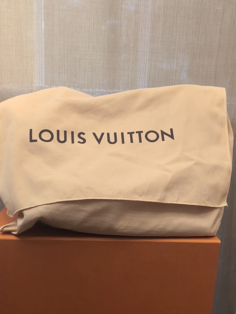 LV Carry All